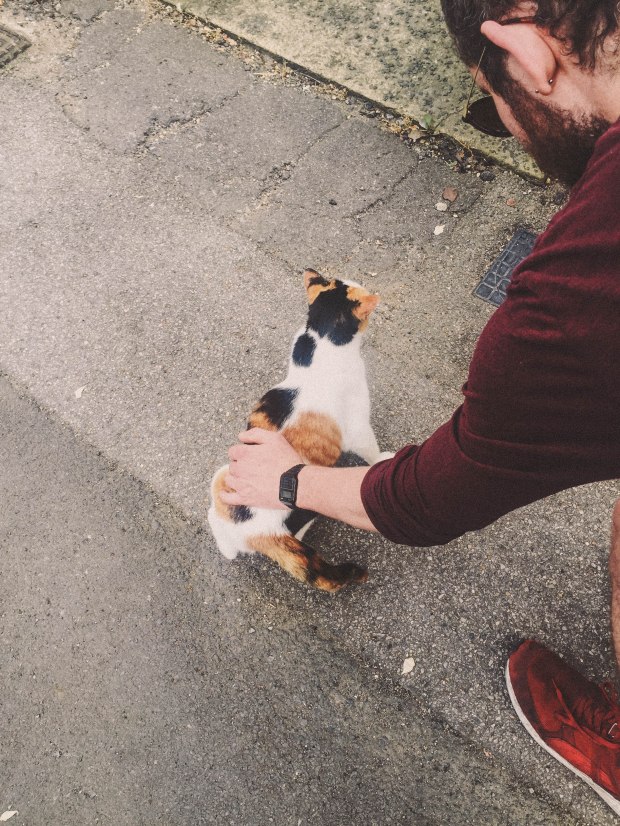 Processed with VSCO with f2 preset